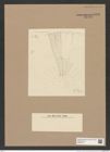 Arachnodiscus sp. (de-Toni-Nr.: Genus 204) Zeichnungen Sammlung Grunow Nr. 9006 (NHMW-BOT-W0378712)